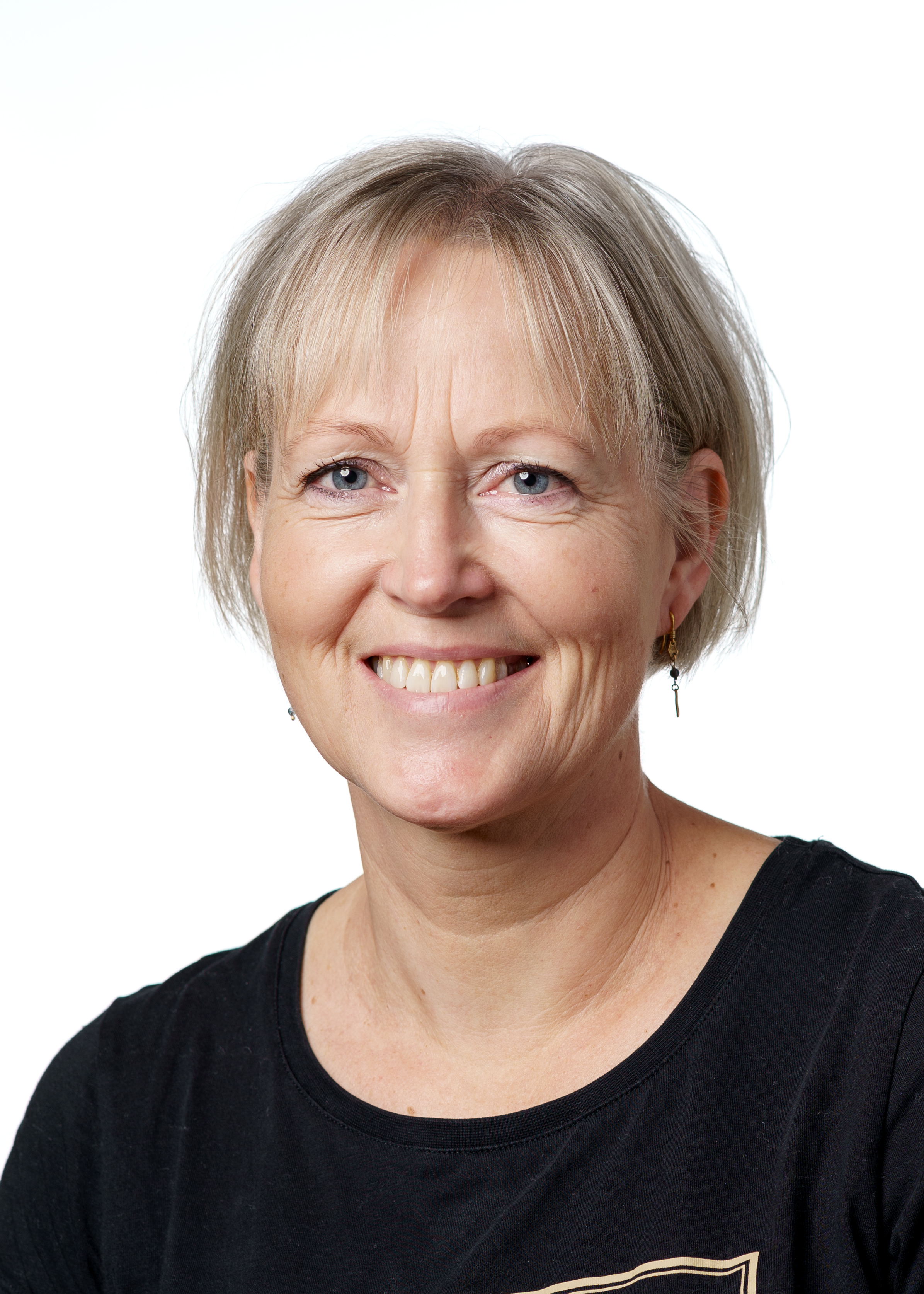 Lise Steiniche Lise Steiniche